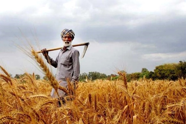 Lupin’s Desh Bandhu Jan Utkarsha Pariyojana: Transforming Rural Livelihoods with Sustainable Solutions